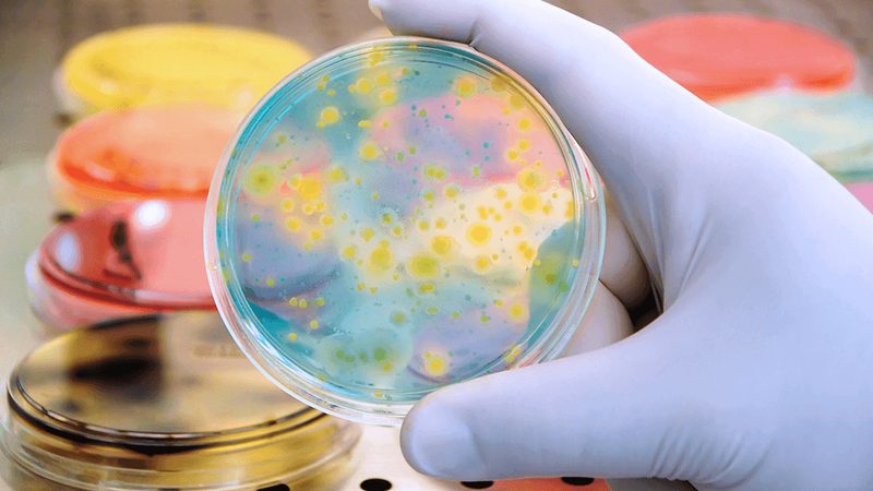 生物医药外包成本控制：关键步骤与策略解析**