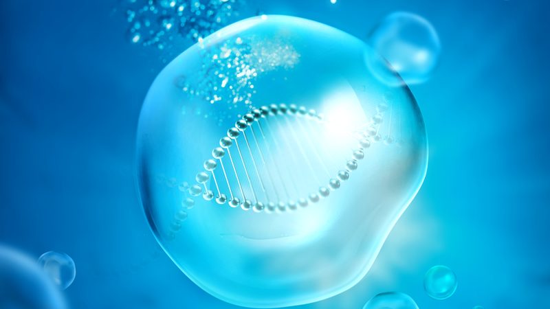 生物医药外包工艺流程规范标准的解析与实施