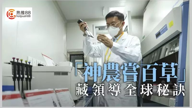 PCR管与离心管：两种实验工具的异同解析