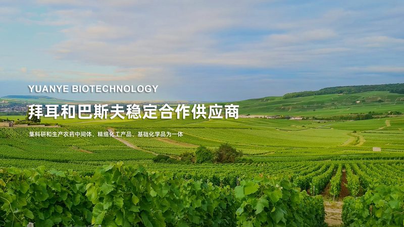 北京分子生物学试剂配送，如何快速高效？**