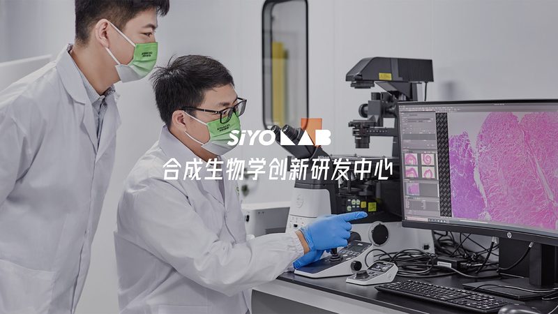 细胞工厂：揭秘其优缺点，助力生物制药创新**