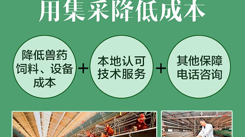 创新药CDMO临床试验用药定制：从工艺到交付的硬核拆解