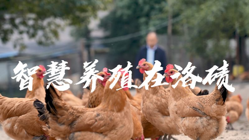 生物医药外包项目管理办法审计要点解析