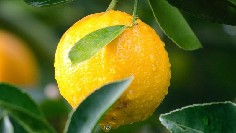 生物医药项目风险评估：企业如何规避潜在风险**